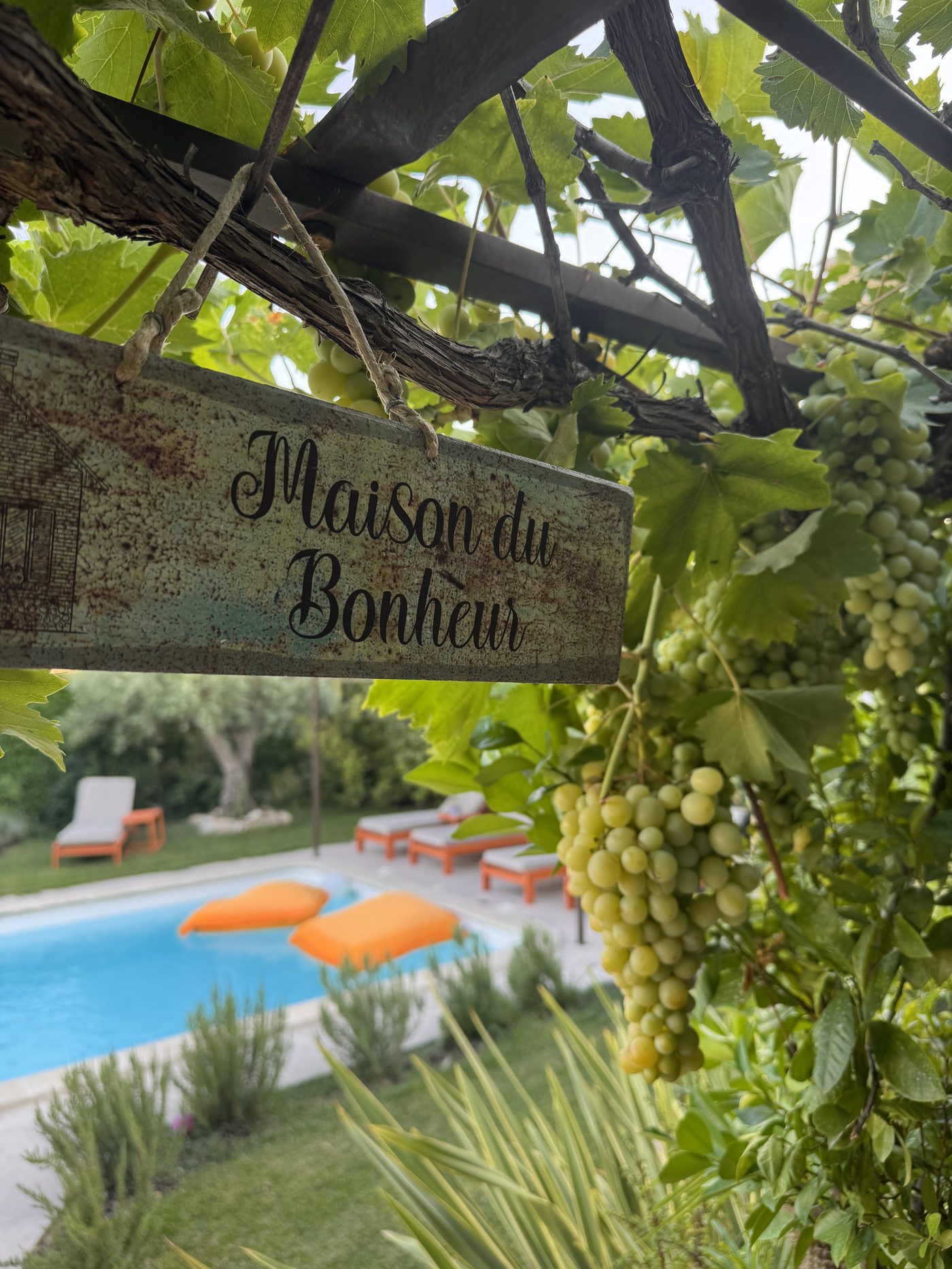 Vue d’ensemble de la Bastide des Romarins, privatisation Bastide Exclusive